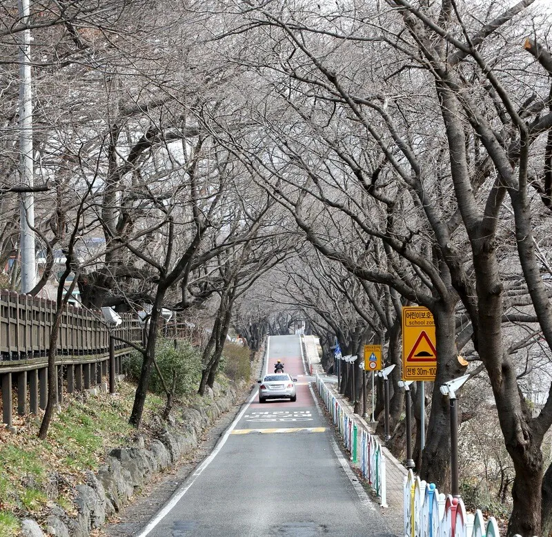 지리산 의신마을로 가는 길. 김선식 기자.