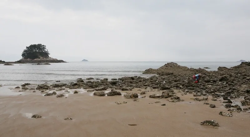  충남 태안군 꾸지나무골 해수욕장 풍경. 김선식 기자