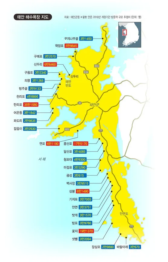 지난 11일 오전