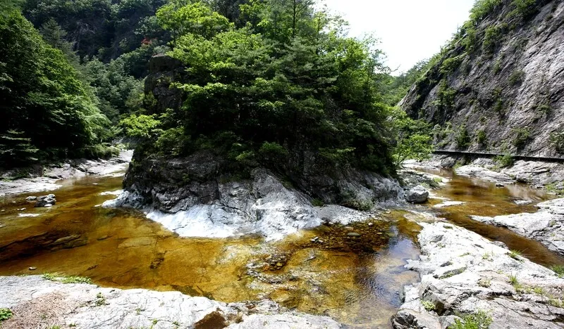 덕풍계곡의 투명한 갈색 물빛. 김선식 기자