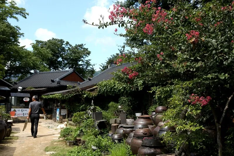 지난 30일 울산 울주군 ‘연잎 정식’을 파는 밥집 ‘가랑잎새’ 마당. 김선식 기자