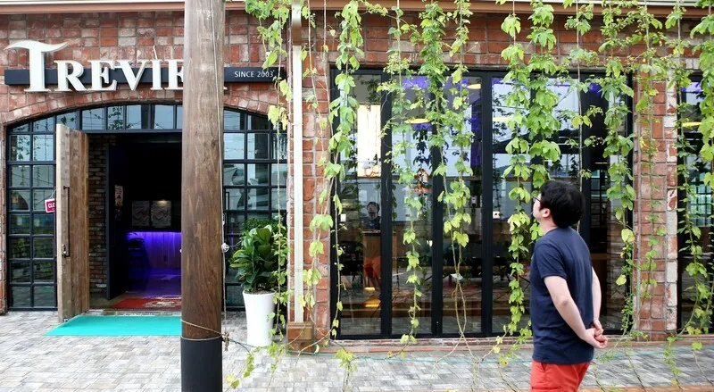 수제맥주 양조장 ‘트레비어’ 건물 외벽엔 홉이 자라고 있다. 김선식 기자