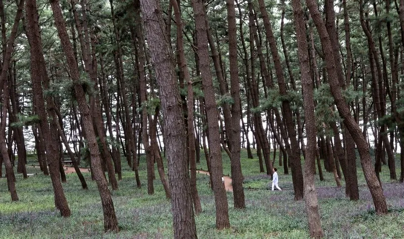 전북 군산시 경암동 철길마을에서 교복을 빌려 입고 사진 촬영 중인 여행객들. 김선식 기자