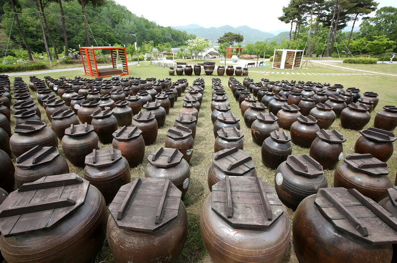 ‘대한민국 술테마 박물관’ 앞뜰. 김선식 기자