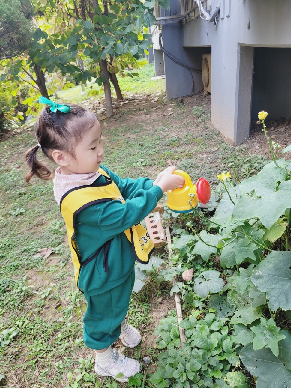 텃밭에서 자라는 식물에 물을 주는 모습. 앤어린이집 제공